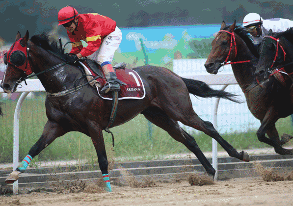 欧赛事动态：立陶宛队战术完善，实力逐渐提升的简单介绍